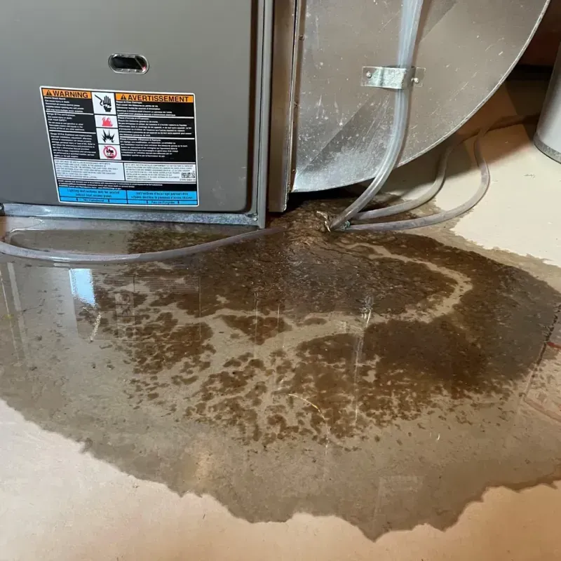 Appliance Leak Cleanup in Senath, MO